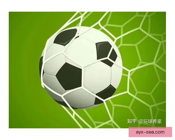 世界杯竞猜赔率分析与投注策略全面解读助你精准预测赛事结果